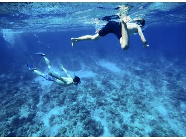 沖縄の海でシュノーケリングやマリンアクティビティ