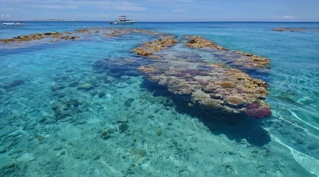 サンゴ礁の海底と透明度の高い水