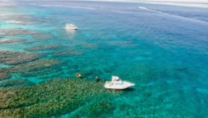 クルーザーで沖縄の海をクルージング