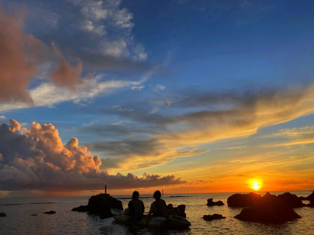 沖縄のマングローブをエリア別で紹介！