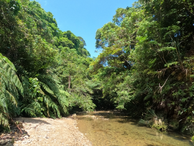 やんばるの秘境！沖縄北部・大宜味村の絶景「ター滝」完全ガイド