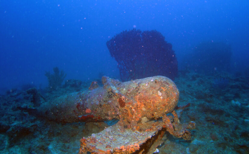 古宇利島の沖に眠る全長約１００ｍの沈船ＵＳＳエモンズを潜る