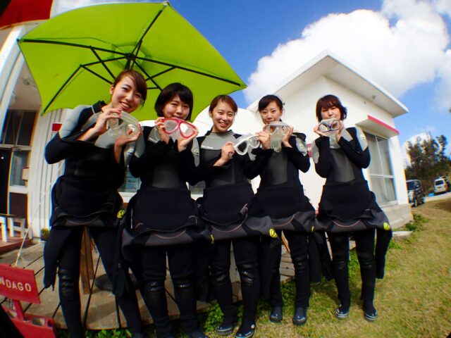 青の洞窟体験ダイビング