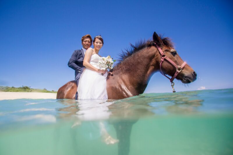 【沖縄・北部 / フォトウェディング】馬と一緒に海に入って水中撮影！乗馬プラン（No.159）