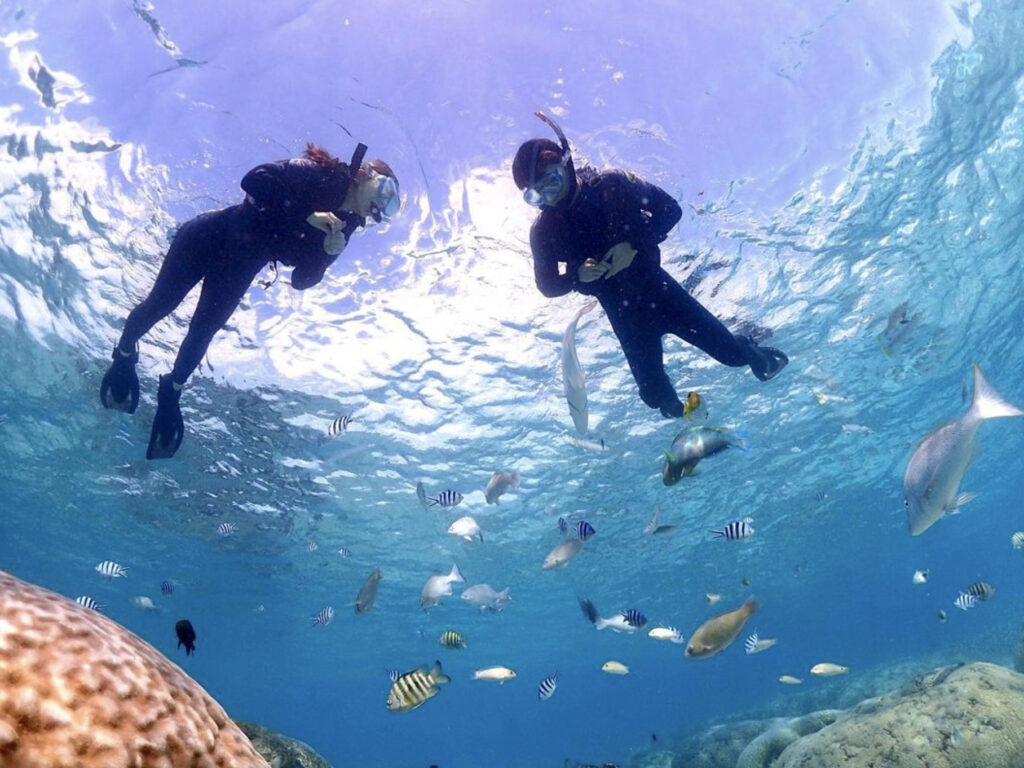 【2023年最新】水納島のランチはどこがおすすめ？ランチが付いたお得なアクティビティツアーもご紹介