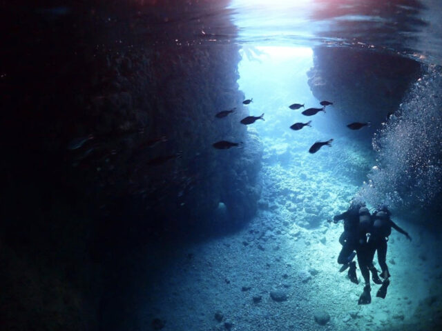 美しい光景と出会う青の洞窟ダイビング