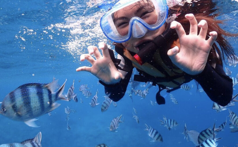 カラフル熱帯魚とシュノーケル