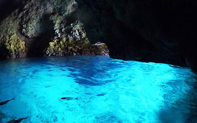 【沖縄・恩納村】1組完全貸切・当日予約OK！「青の洞窟」体験ダイビングで海中世界をのぞきに行こう！（ツアー写真＆動画無料プレゼント・エサやり体験付き）