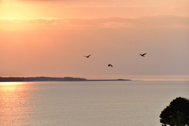 知念岬公園から見る日の出