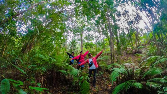 やんばる、リバーハイキング、女子旅