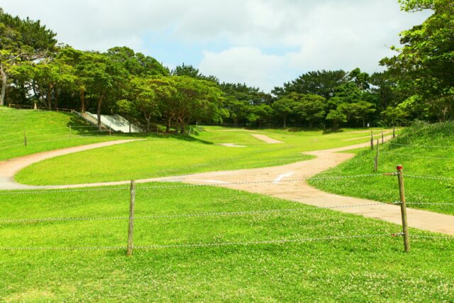 沖縄　県民の森
