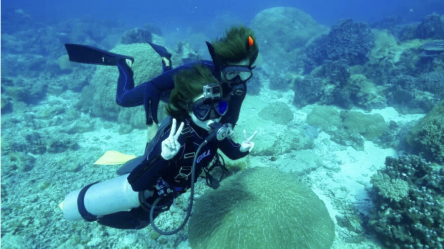 伊良部　ダイビング