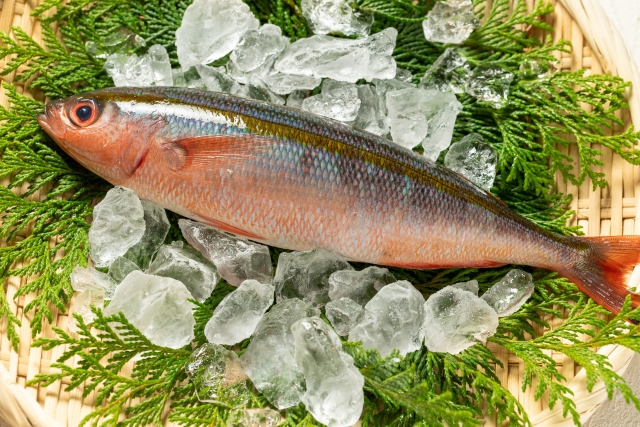 初心者の方も釣り好きの方も必見！青の洞窟が魅力の恩納村で釣りを楽しもう！