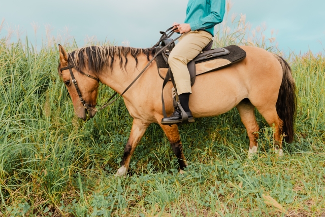 沖縄で体験できる乗馬の魅力とは！思い出に残る写真撮影プランもご紹介
