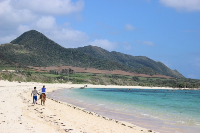 石垣島、乗馬
