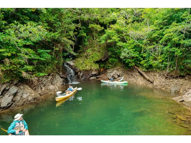 【沖縄北部・東村】今大注目のやんばるエリアで絶景ロケーションフォトツアー☆＜ドローン空撮＆カヤック体験追加OK＞女子旅・ファミリーにもおすすめ（No.222）