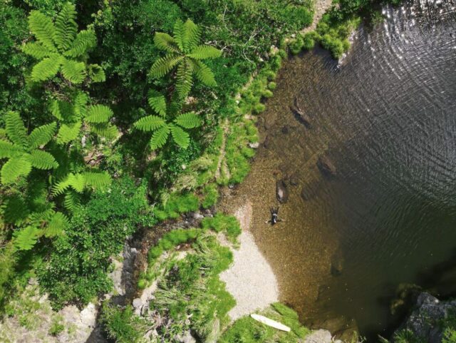 沖縄観光の穴場！「DINO恐竜PARK やんばる亜熱帯の森」とは？家族で楽しめるおすすめスポット