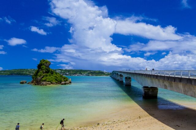 【那覇・北谷発/北部観光】観光バスツアー（Cコース）★美ら海水族館→古宇利島→御菓子御殿→万座毛→北谷アメリカンビレッジ→「シーフードハウス ピア54」ディナー