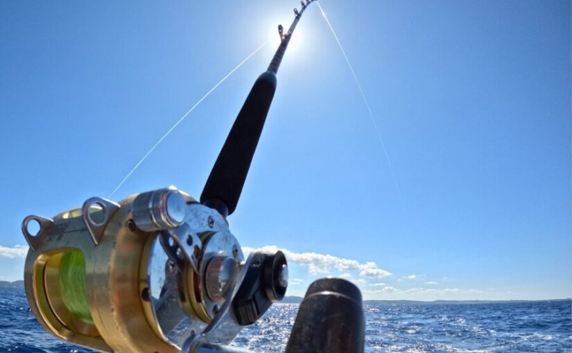 チャーター、釣り