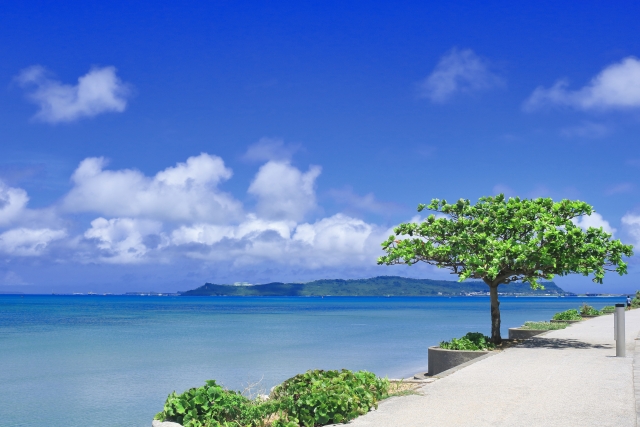 海中道路