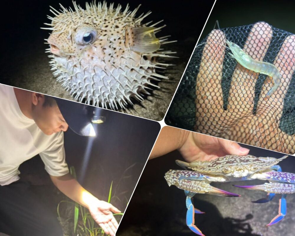 【沖縄南部/夜/冬季限定】1日2組限定☆夜の海でワクワクの生き物探しツアー！《瀬長島から車で約5分♪お子様連れの家族にもおすすめ》（No.254）