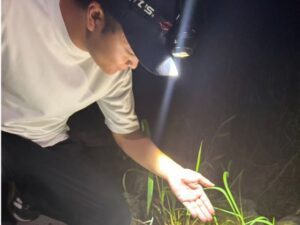 【沖縄南部/夜/冬季限定】1日2組限定☆夜の海でワクワクの生き物探しツアー！《瀬長島から車で約5分♪お子様連れの家族にもおすすめ》