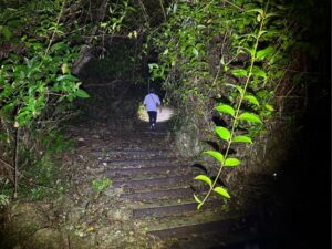 【沖縄南部/夜】ドキドキ！森のナイトツアーで夜行性の生き物を探しに行こう！《那覇から約30分でアクセス良好♪お子様連れの家族にもおすすめ☆》