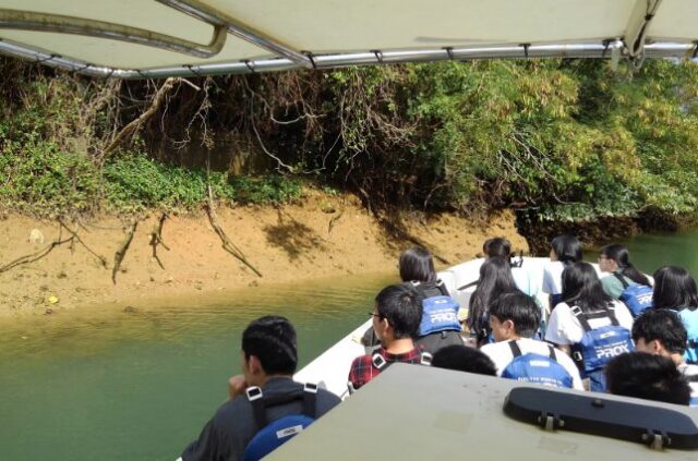 沖縄の比謝川を巡るマングローブボートツアー