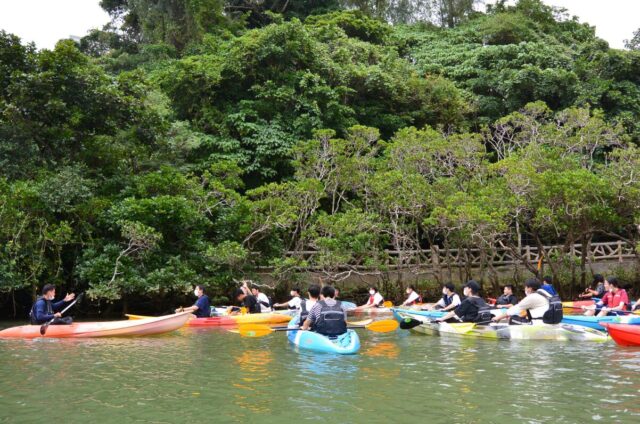 マングローブの森が広がる比謝川で楽しむ沖縄のカヤックツアー
