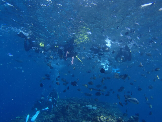 恩納村の深い青色の海を泳ぐ、複数のシュノーケラーと黒い小魚の大群。遠くにサンゴ礁が広がる広大な水中風景。