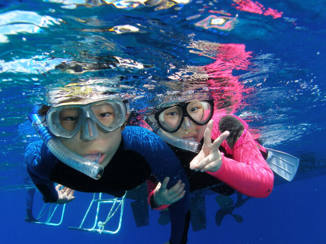 青の洞窟　シュノーケリング　熱帯魚