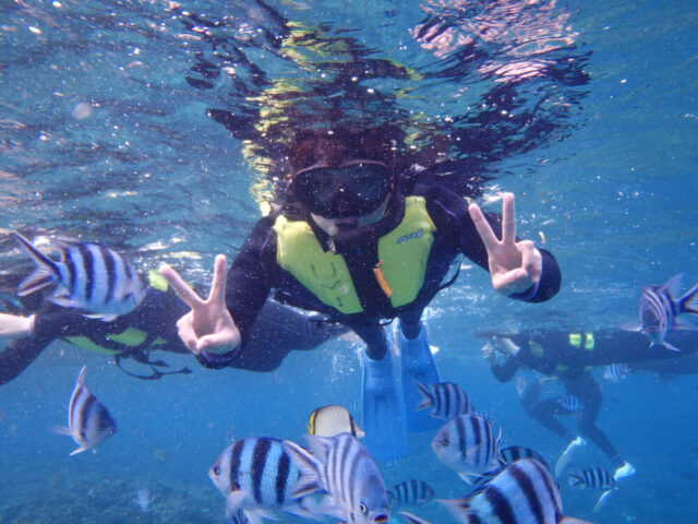 青の洞窟　シュノーケリング　熱帯魚