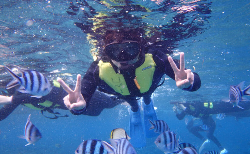 青の洞窟　シュノーケリング　熱帯魚