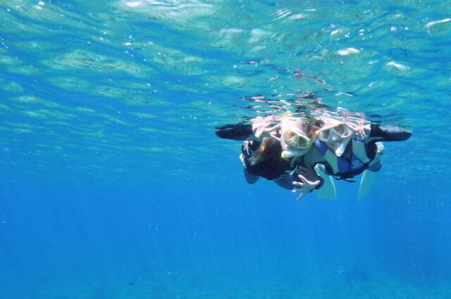シュノーケリング
