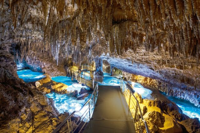 おきなわワールド　バスツアー