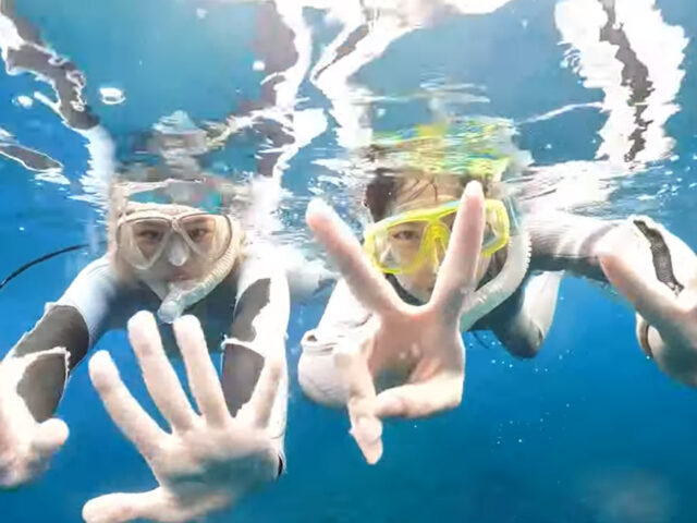 シュノーケリング、スキンダイビング、チービシ諸島