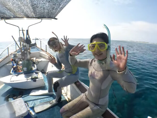 シュノーケリング、スキンダイビング、チービシ諸島