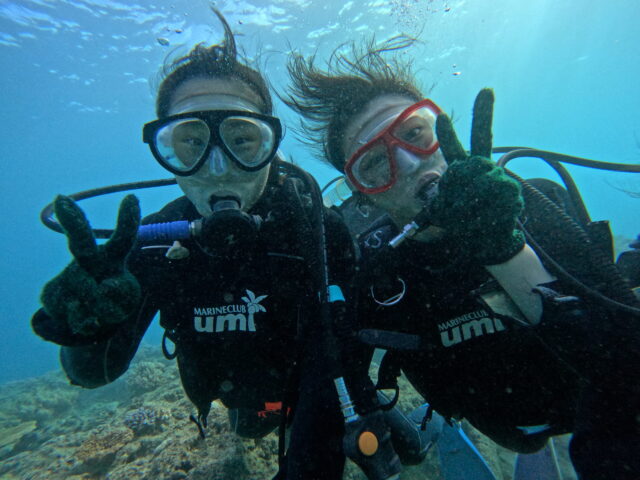 青の洞窟　ダイビング　熱帯魚