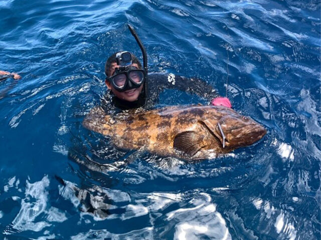 漁見学、チービシ諸島