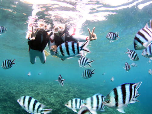 【沖縄・宜野湾】空と海を満喫！音楽が流れるサウンドパラセーリング＆少人数制シュノーケル☆移動なしで楽々セット体験《カメラ持込OK＆撮影付》（No.759）