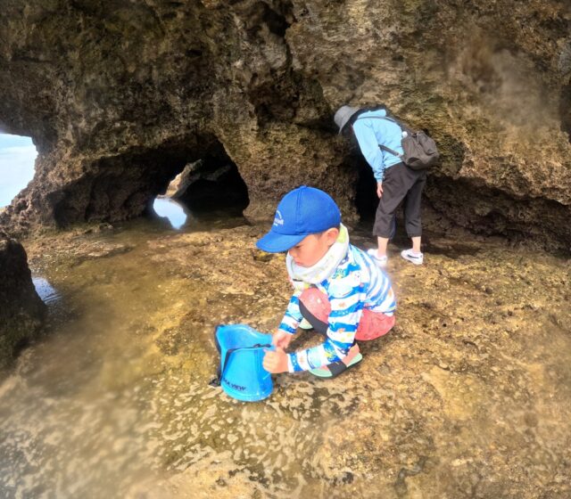 恩納村　イノー散策　お魚ウォッチング