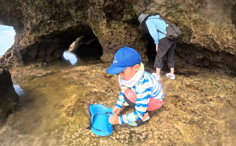 恩納村　イノー散策　お魚ウォッチング