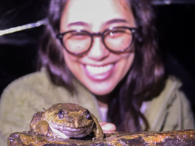【沖縄・東村】神秘のやんばるナイトツアー☆眠るヤンバルクイナや光る虫たちのファンタジーの世界へ大冒険！《写真プレゼント・ガイド解説付き》（No.283）