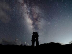 【沖縄・東村】静寂の夜☆やんばるサファリツアー☆眠るヤンバルクイナや光る虫たちのファンタジーの世界へ大冒険！《マクロ・星空写真プレゼント》