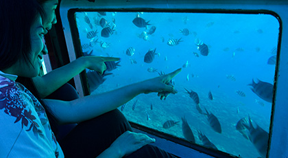 クルーズ　水中観光船