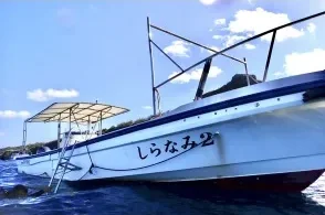 【沖縄/恩納村/4時間】沖縄の海を遊び尽くそう☆シーウォーク&シュノーケリング《GoProレンタル無料》
