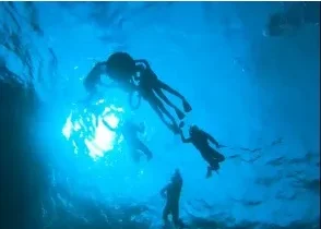 【沖縄/恩納村/4時間】沖縄の海を遊び尽くそう☆シーウォーク&シュノーケリング《GoProレンタル無料》
