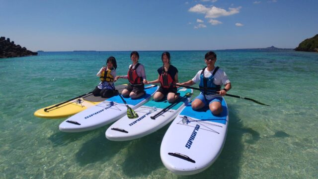 【沖縄北部/90分】透明度抜群の海をSUPでお散歩♪ウミガメにも出会えるかも？SUP体験