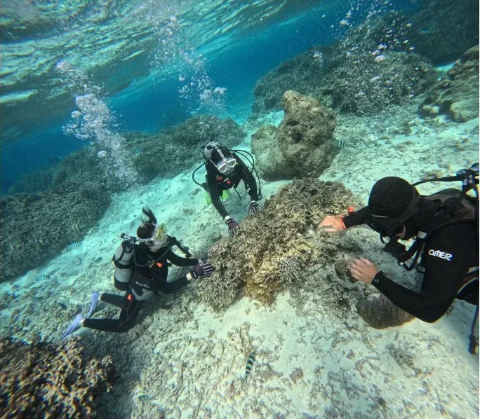 【沖縄/恩納村/2時間】専用ボートで行く☆青の洞窟体験ダイビング《GoProレンタル&写真データ無料》（No.174）