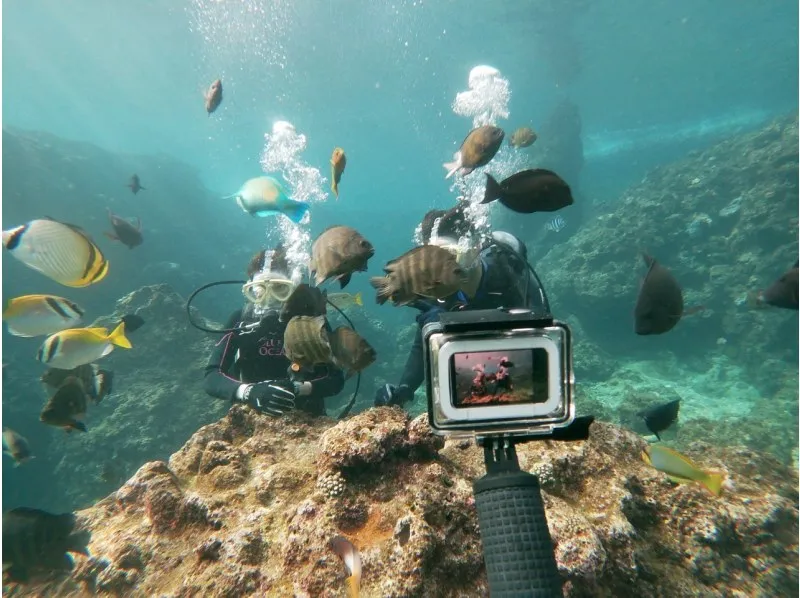 【沖縄/恩納村/2時間】専用ボートで行く☆青の洞窟体験ダイビング《GoProレンタル&写真データ無料》（No.174）